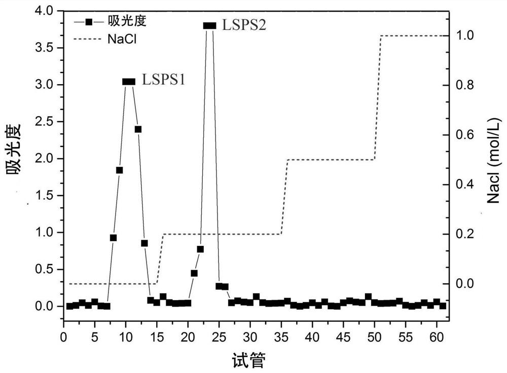 A kind of lotus seed active polysaccharide, lotus seed active substance and its extraction method and application