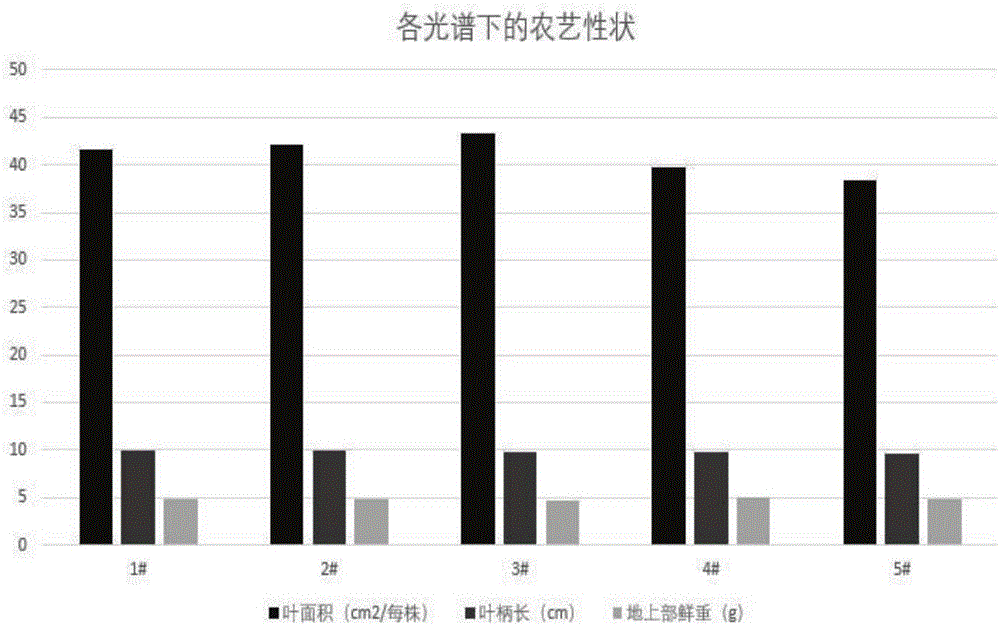 Method for planting spinaches in artificial light type plant factory