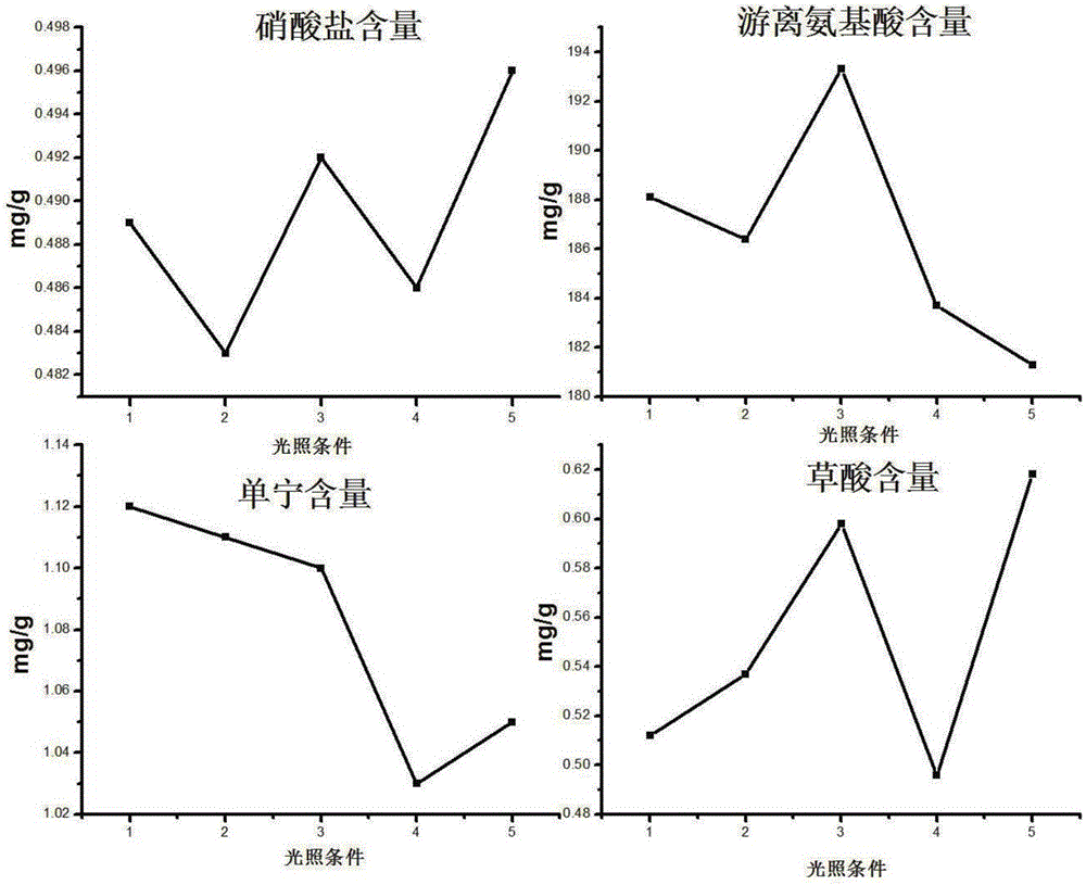 Method for planting spinaches in artificial light type plant factory