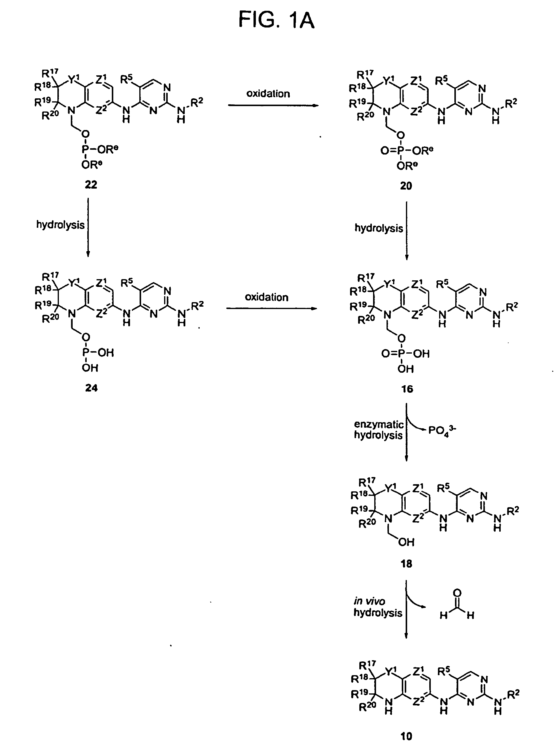 Methods of Treating Cell Proliferative Disorders