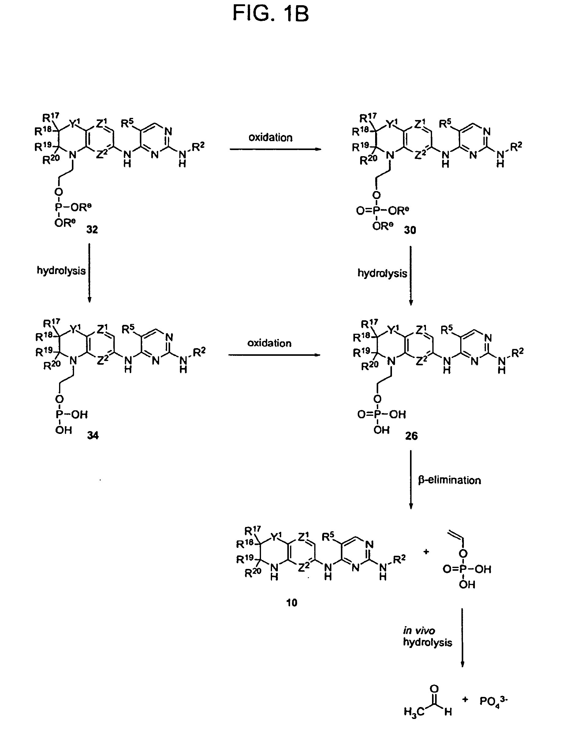 Methods of Treating Cell Proliferative Disorders