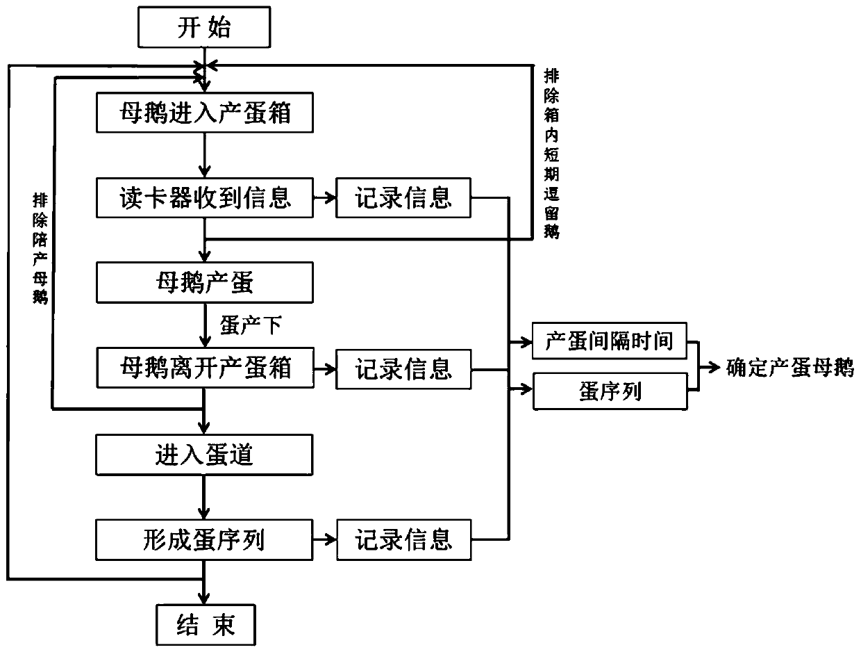 Intelligent recording system for egg laying of geese and method for recording egg laying behavior of family breeding geese by utilizing intelligent recording system