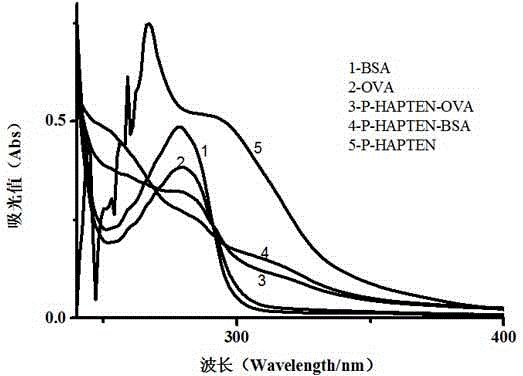 Method for synthesizing artificial antigen of progesterone