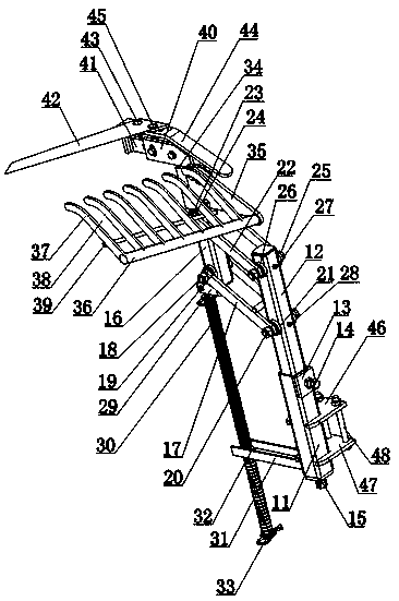 Cutting and harvesting apparatus for food processing