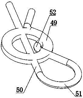 Cutting and harvesting apparatus for food processing