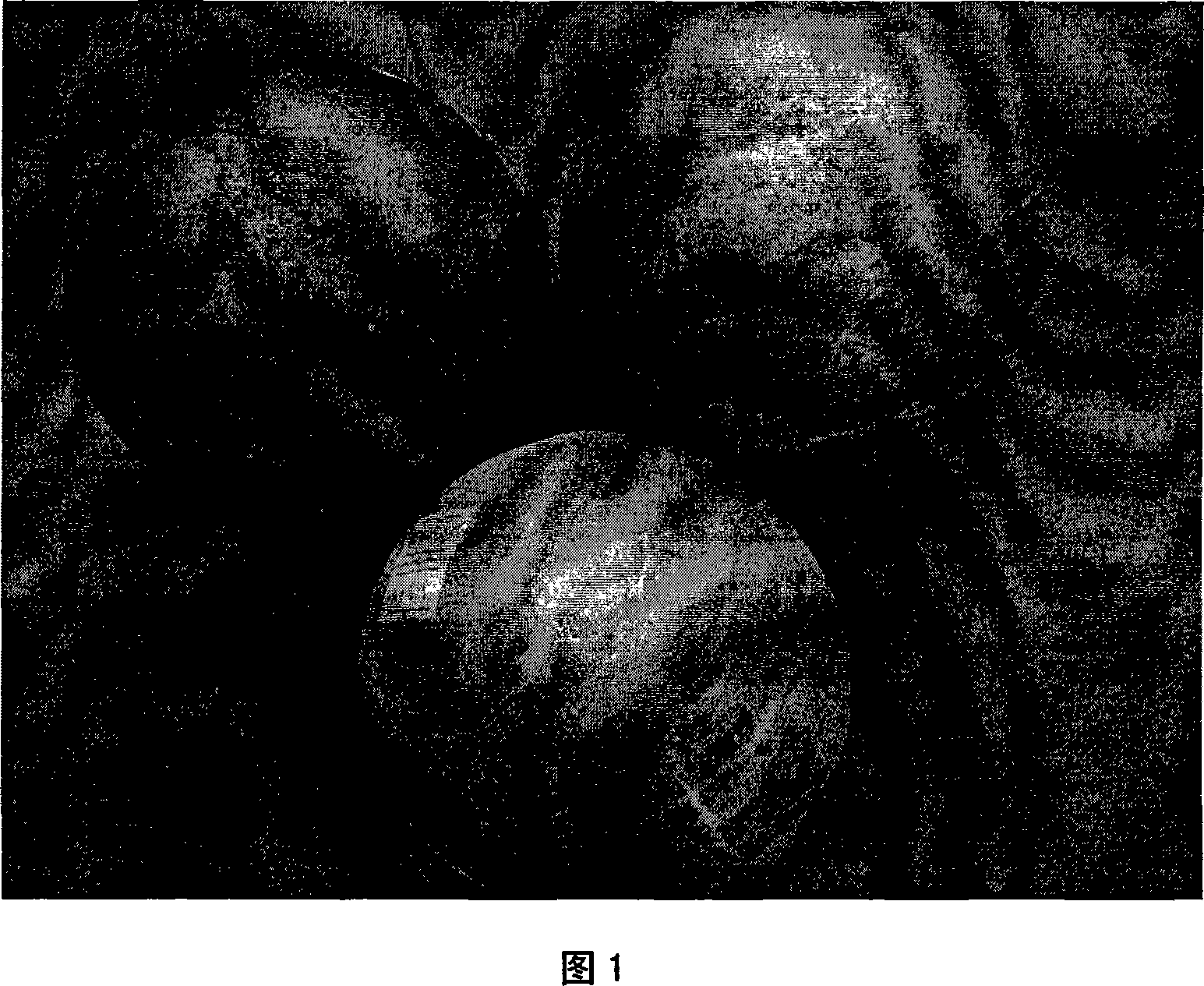 Method of preparing infusible hollow heteromorphic foam aluminum alloy by secondary foam