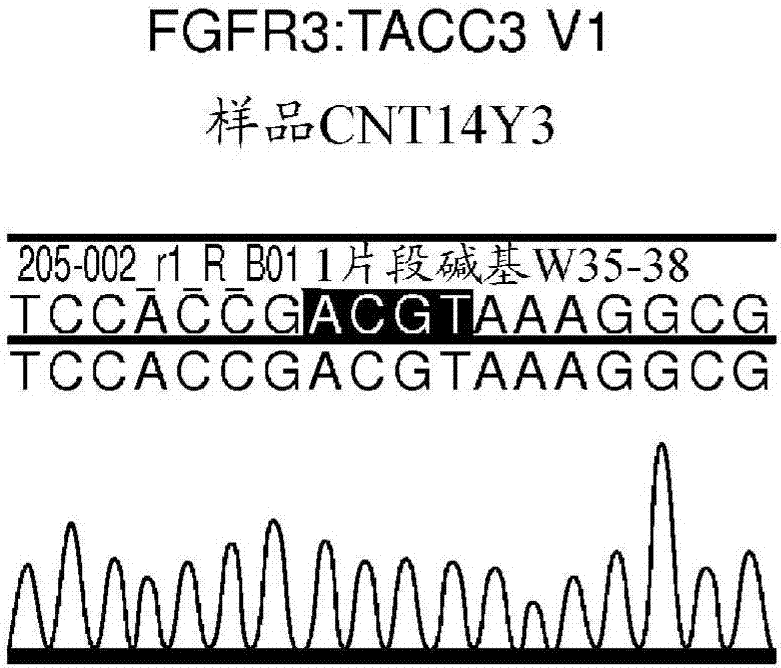 Use of FGFR mutant gene panels in identifying cancer patients that will be responsive to treatment with an FGFR inhibitor