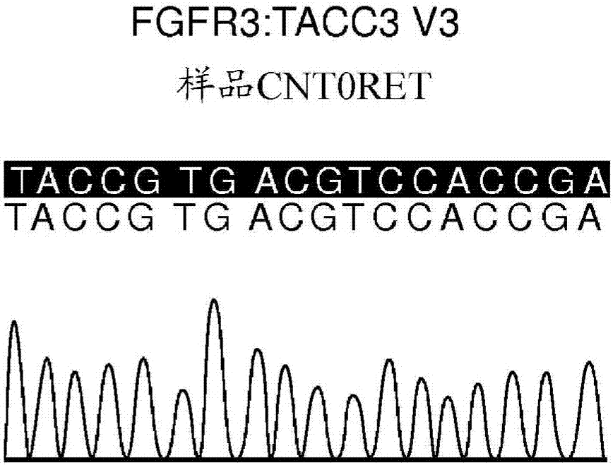 Use of FGFR mutant gene panels in identifying cancer patients that will be responsive to treatment with an FGFR inhibitor