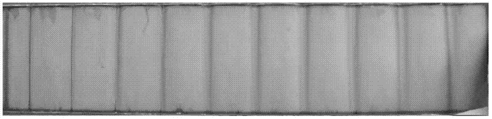 Lithium ion battery and lithium-rich anode sheet