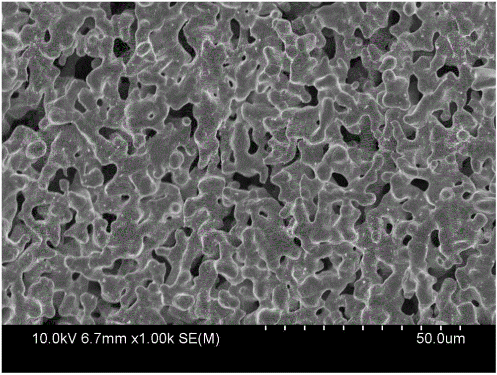 Preparation method of porous nickel hollow fiber membrane and porous nickel hollow fiber membrane prepared by same