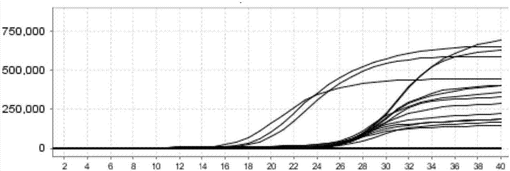 H3/H1N1(2009)/H1N1 influenza A virus multiplex fluorescence PCR detection kit and application thereof