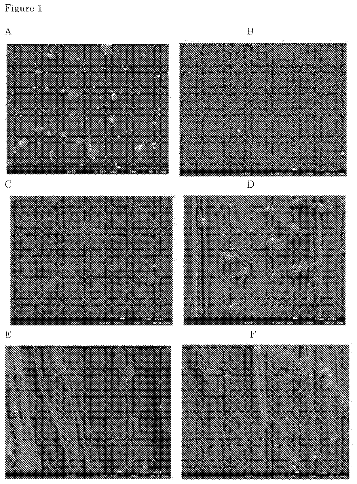 Dithiocarbamate fungicide macromolecular complexes