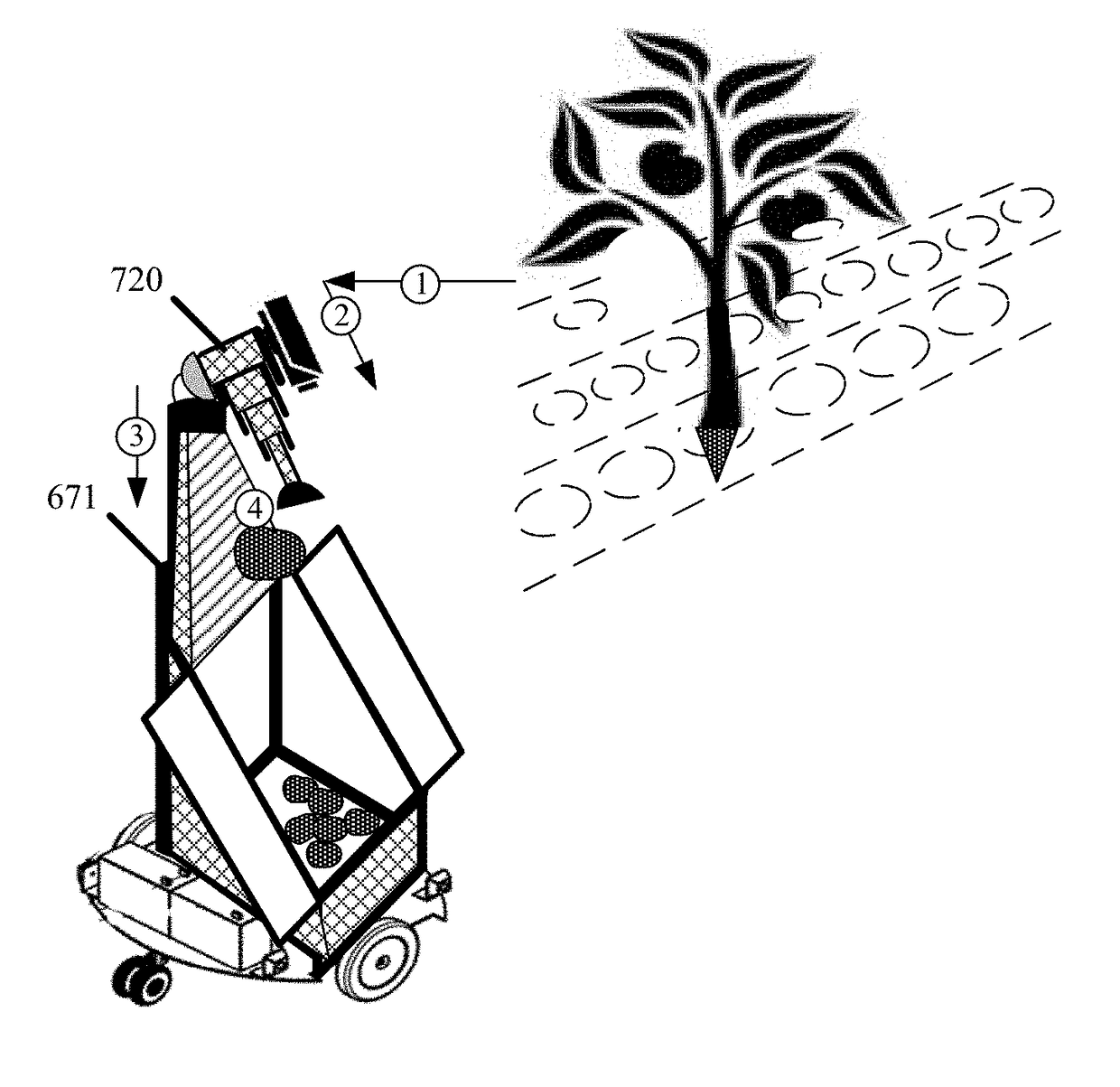 Harvesting Robots for Hydroponics