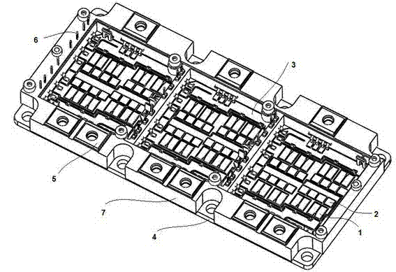 IGBT (Insulated Gate Bipolar Transistor) power module specific to electromobile