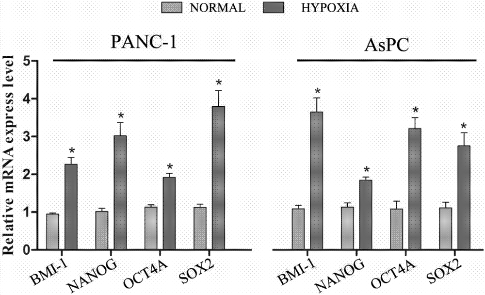 Method for culturing pancreatic cancer cell under anaerobic environment