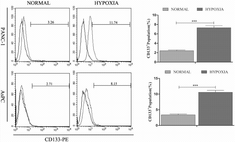 Method for culturing pancreatic cancer cell under anaerobic environment