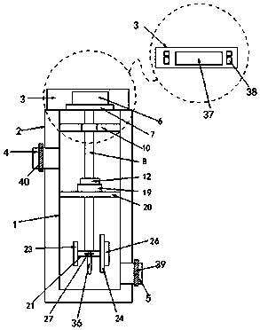 Detection device for preservative content in powder food