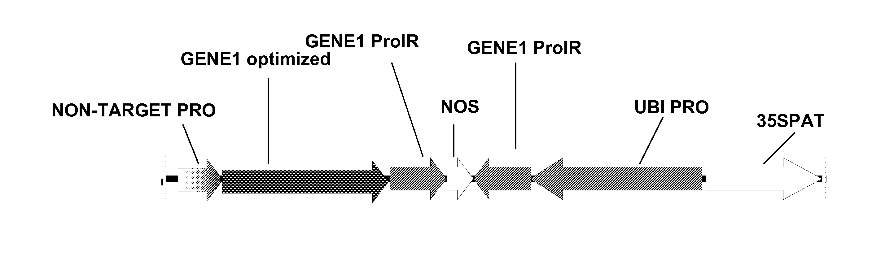 Dominant Gene Suppression Transgenes and Methods of Using Same