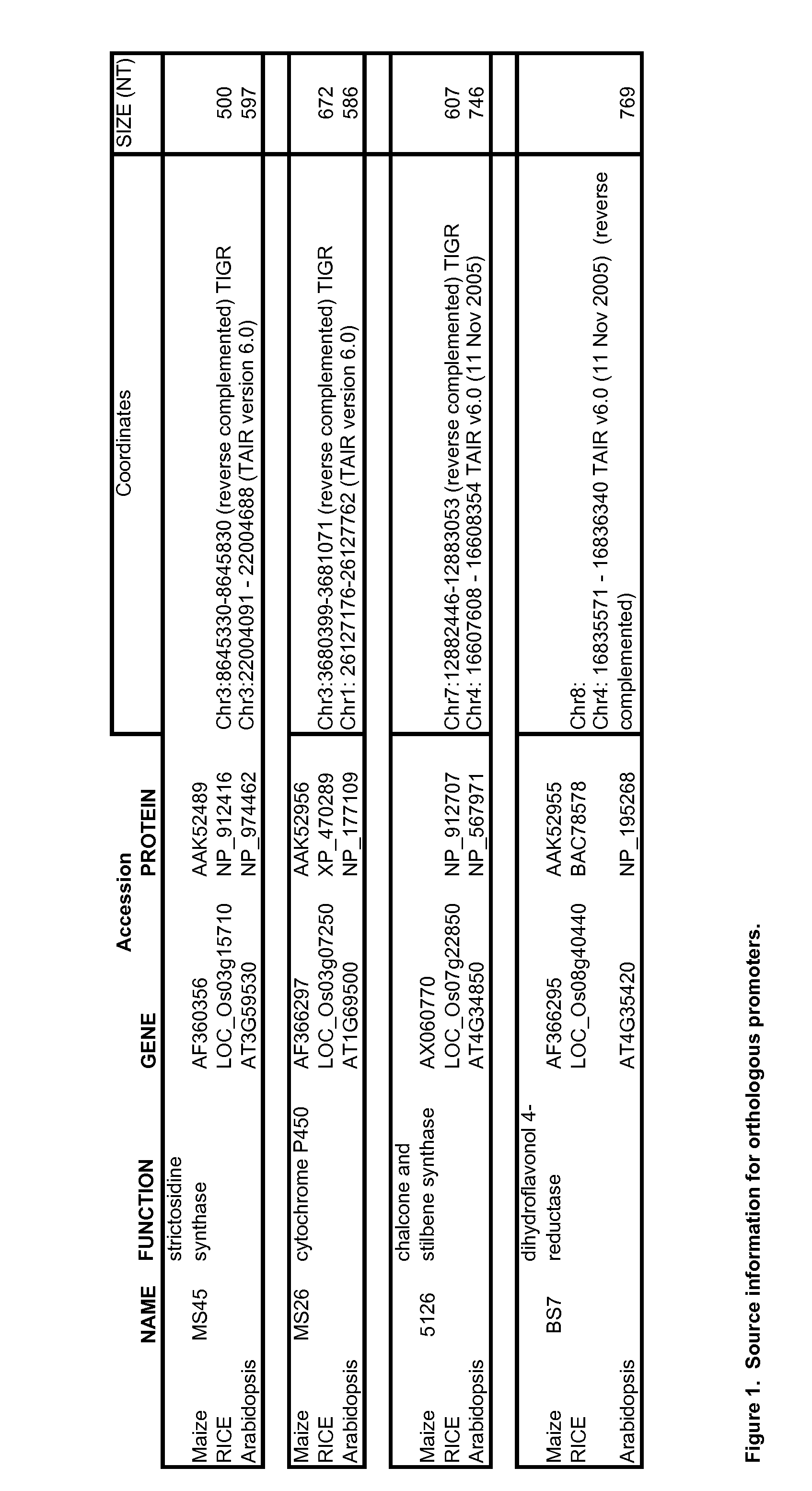 Dominant Gene Suppression Transgenes and Methods of Using Same