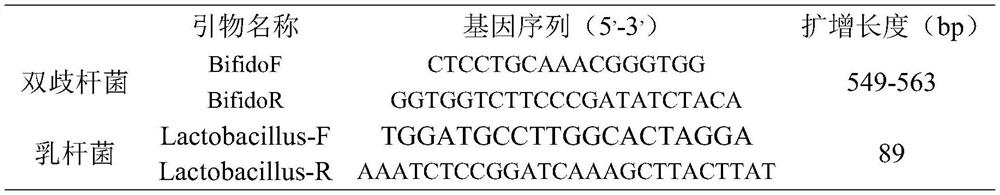 Infant probiotics-containing human milk freeze-dried powder composition and preparation method and application