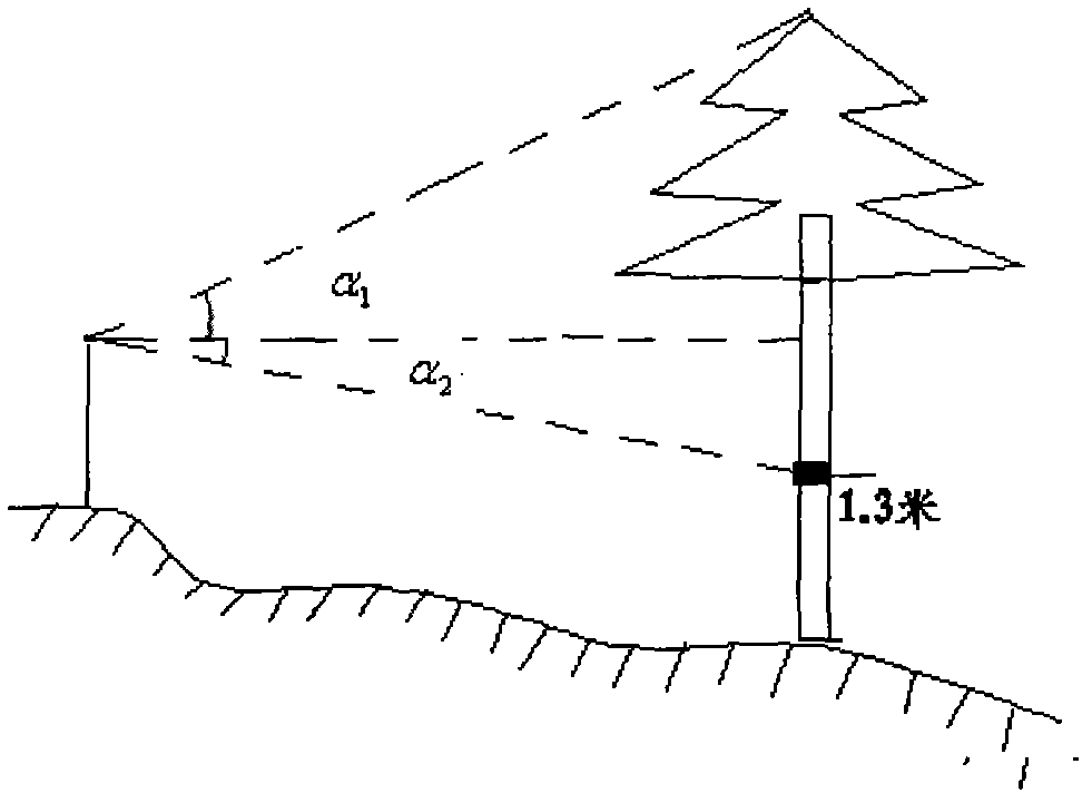 Electronic tree measurement gun and forest measurement method thereof