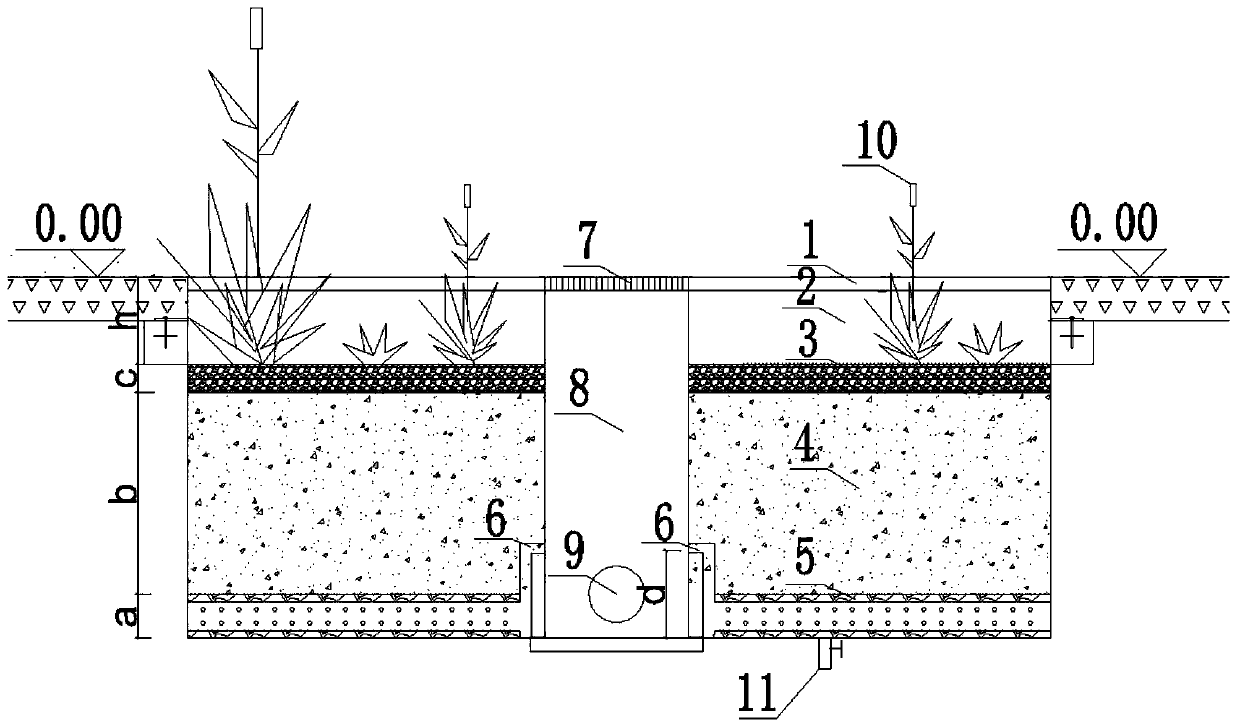 Bioretention pond with simultaneous nitrogen and phosphorus removal function