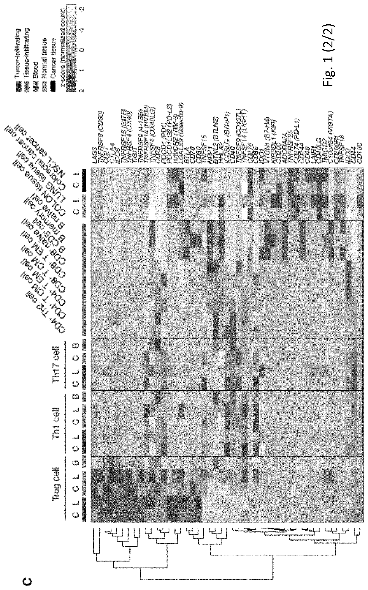 Markers selectively deregulated in tumor-infiltrating regulatory t cells