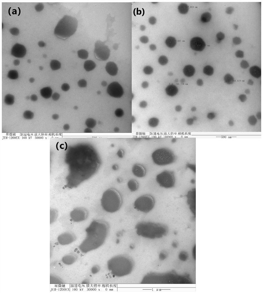 Crude tea extract/chitosan oligosaccharide nanoparticle effervescent cream material, preparation method and application