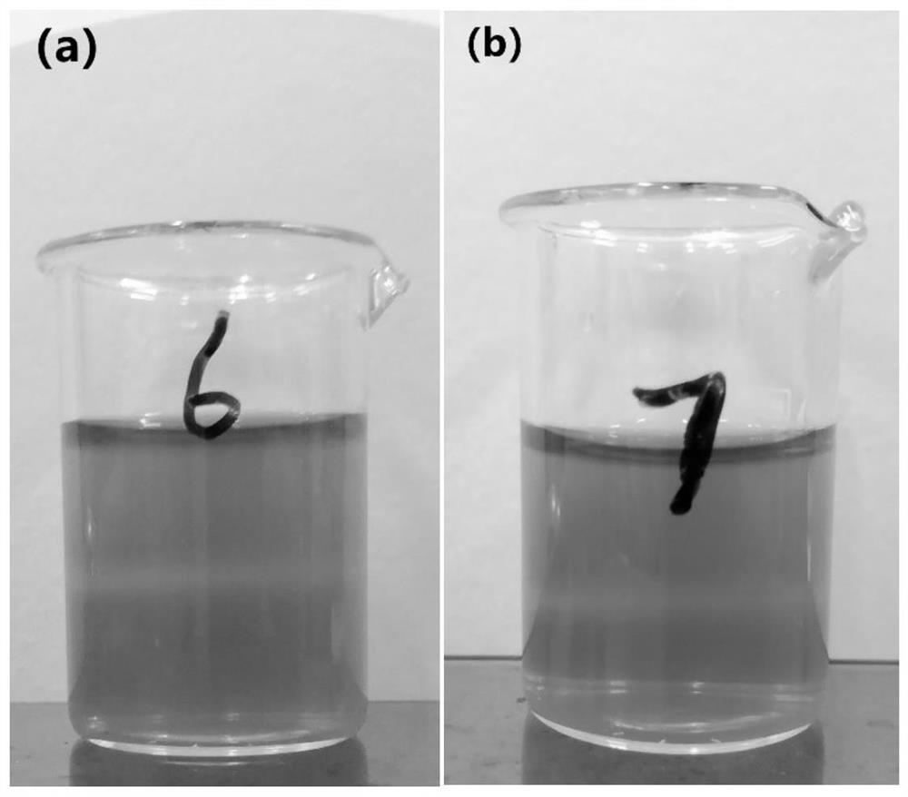 Crude tea extract/chitosan oligosaccharide nanoparticle effervescent cream material, preparation method and application