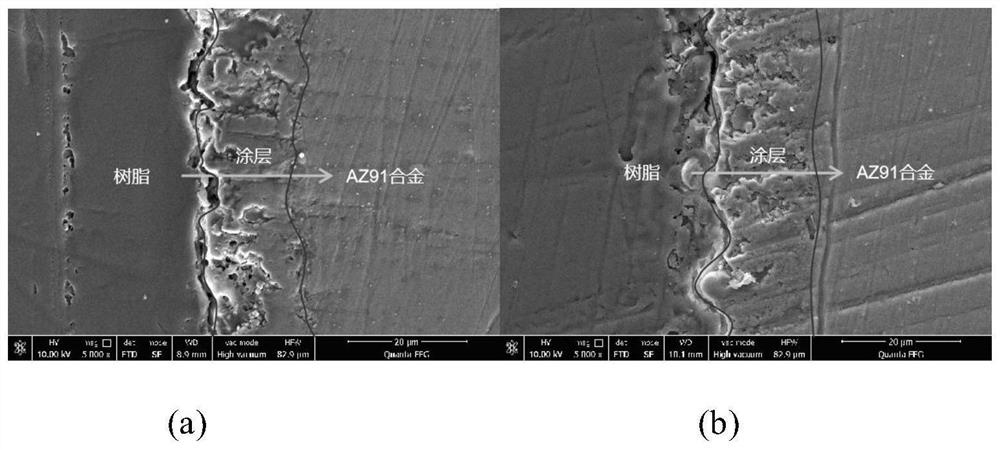 Micro-arc oxidation electrolyte for preparing high-corrosion-resistance and high-wear-resistance coating on surface of magnesium alloy and preparation method and application of micro-arc oxidation electrolyte