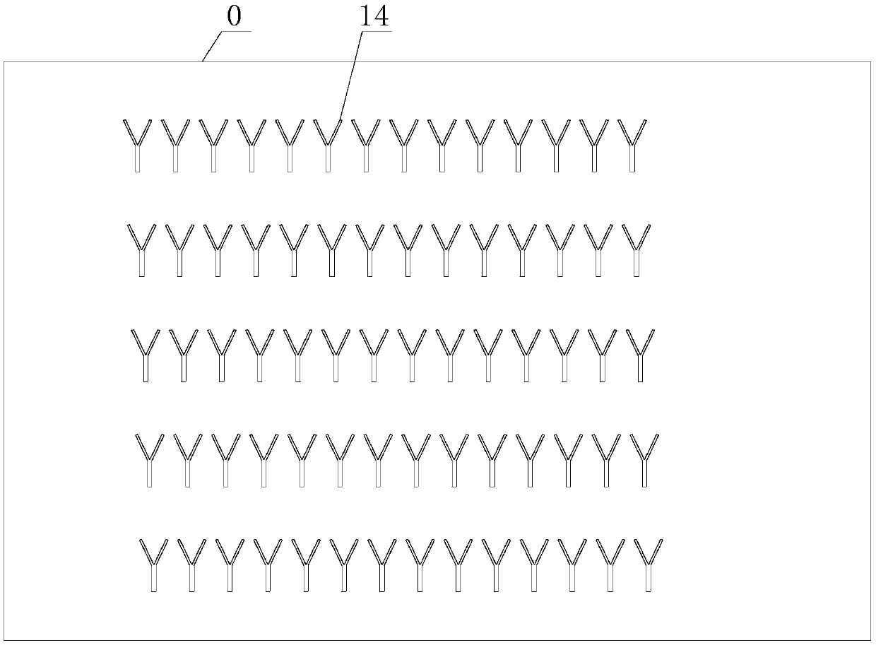 Gathering and elimination implementation method for greenhouse soil nematodes