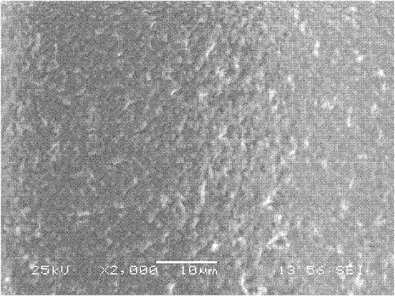 Multifunctional concrete structure endurance protective agent, preparation and application method thereof