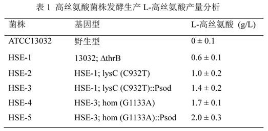 Genetically engineered bacterium for producing L-homoserine and application of genetically engineered bacterium