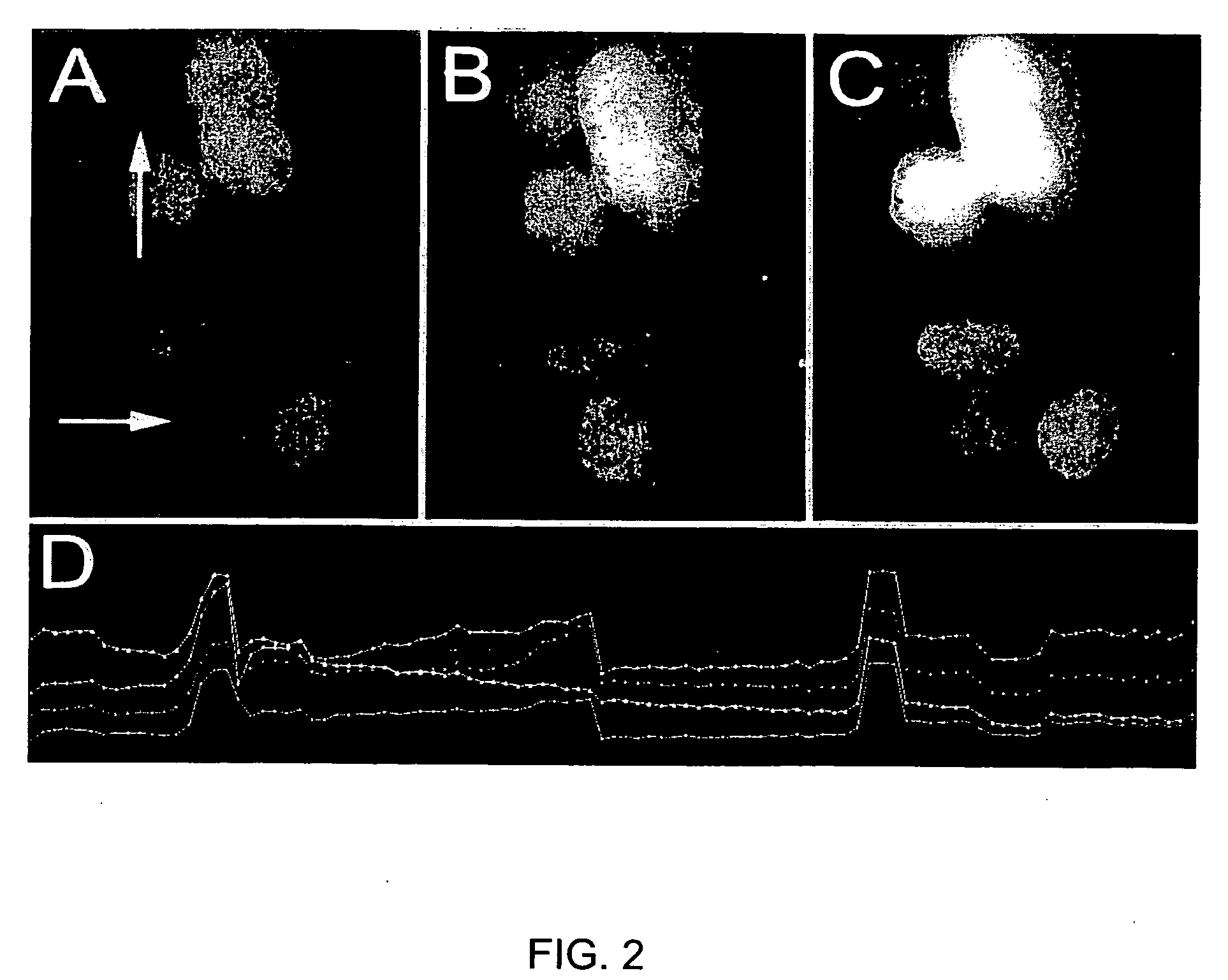 High throughput use-dependent assay based on stimulation of cells on a silicon surface