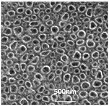 Application of Cu-doped three-dimensional ordered amorphous titania nanotube composite