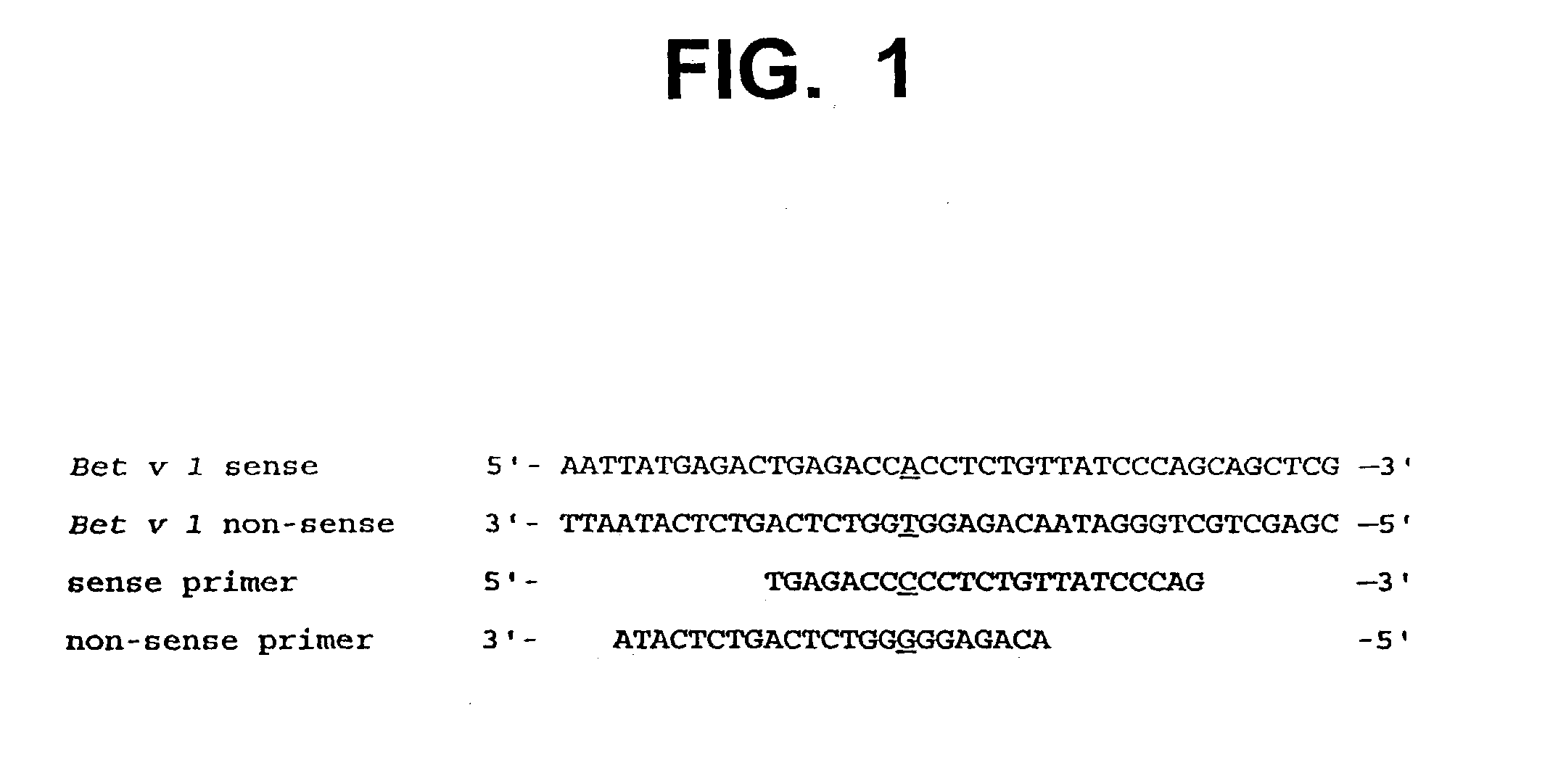 Novel mutant allergens