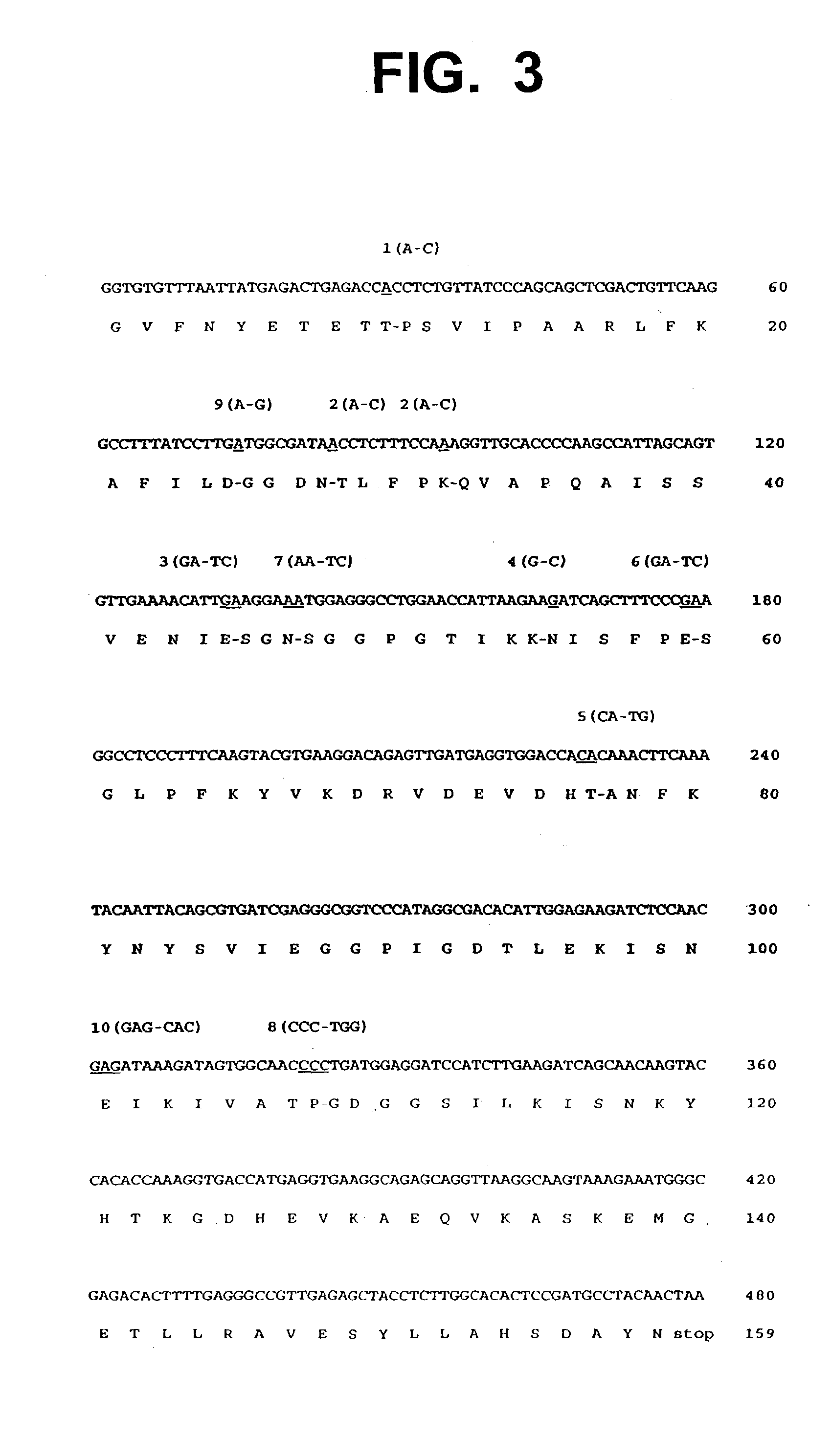 Novel mutant allergens