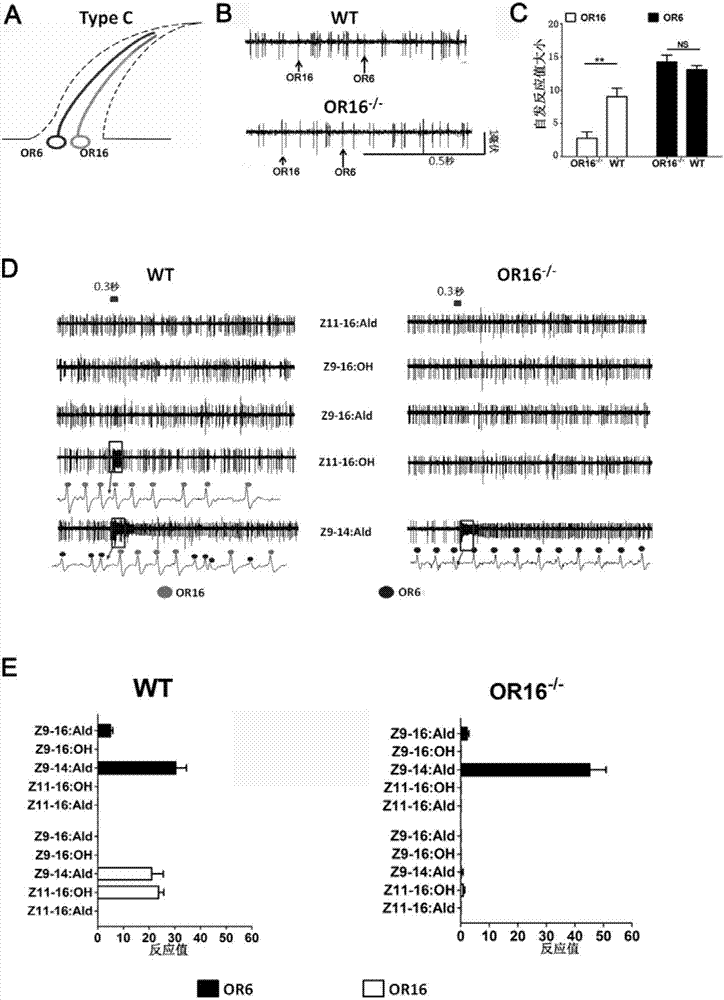 Method of authenticating whether substance influences insect behavior or not and what kind of influence