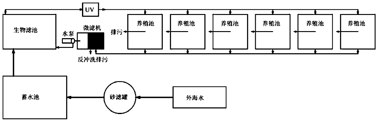 Recirculating prawn aquaculture method in combination with nitrification-assimilation effect