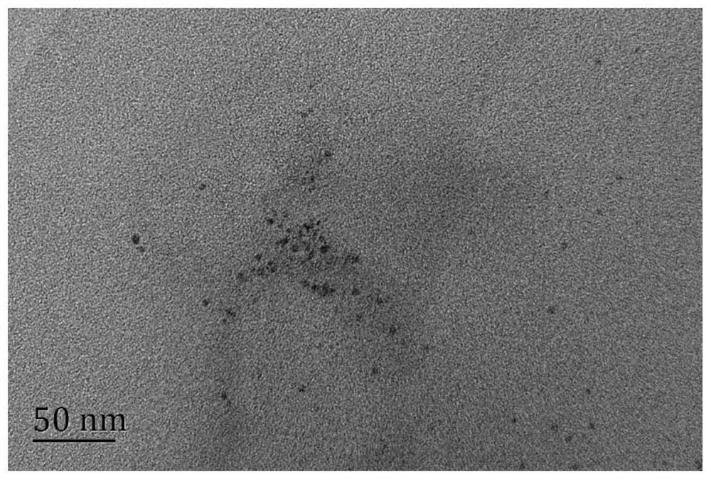 Blue fluorescent silver nanocluster as well as preparation method and application thereof