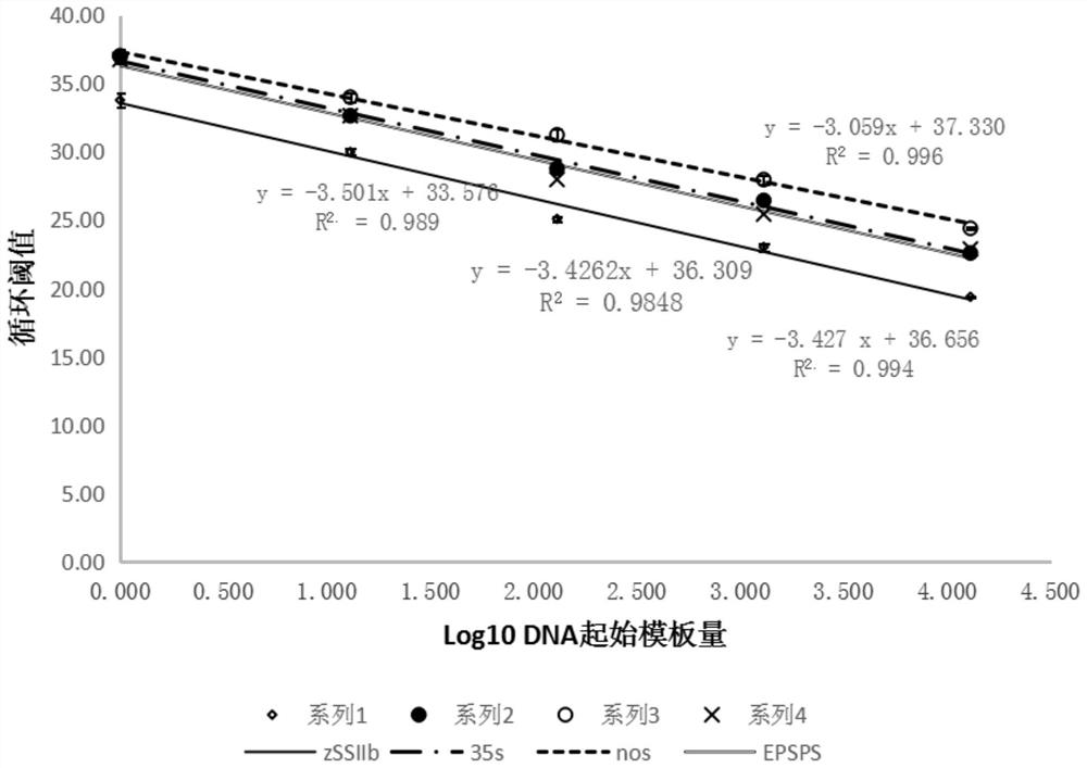 Method for detecting transgenic components of corn by utilizing quadruple real-time fluorescent PCR