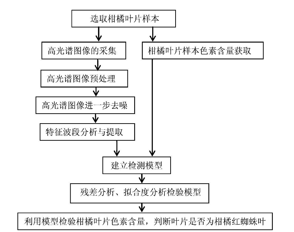 Test and analysis method of red spider insect pest coercion conditions of orange trees