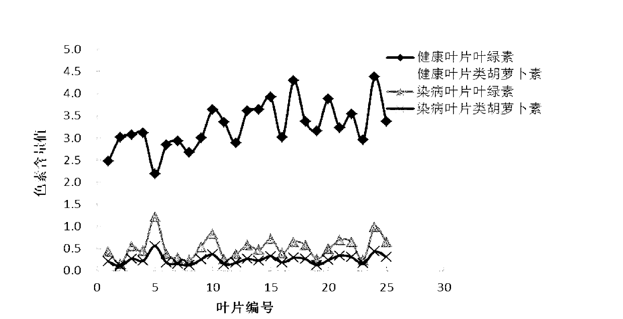 Test and analysis method of red spider insect pest coercion conditions of orange trees