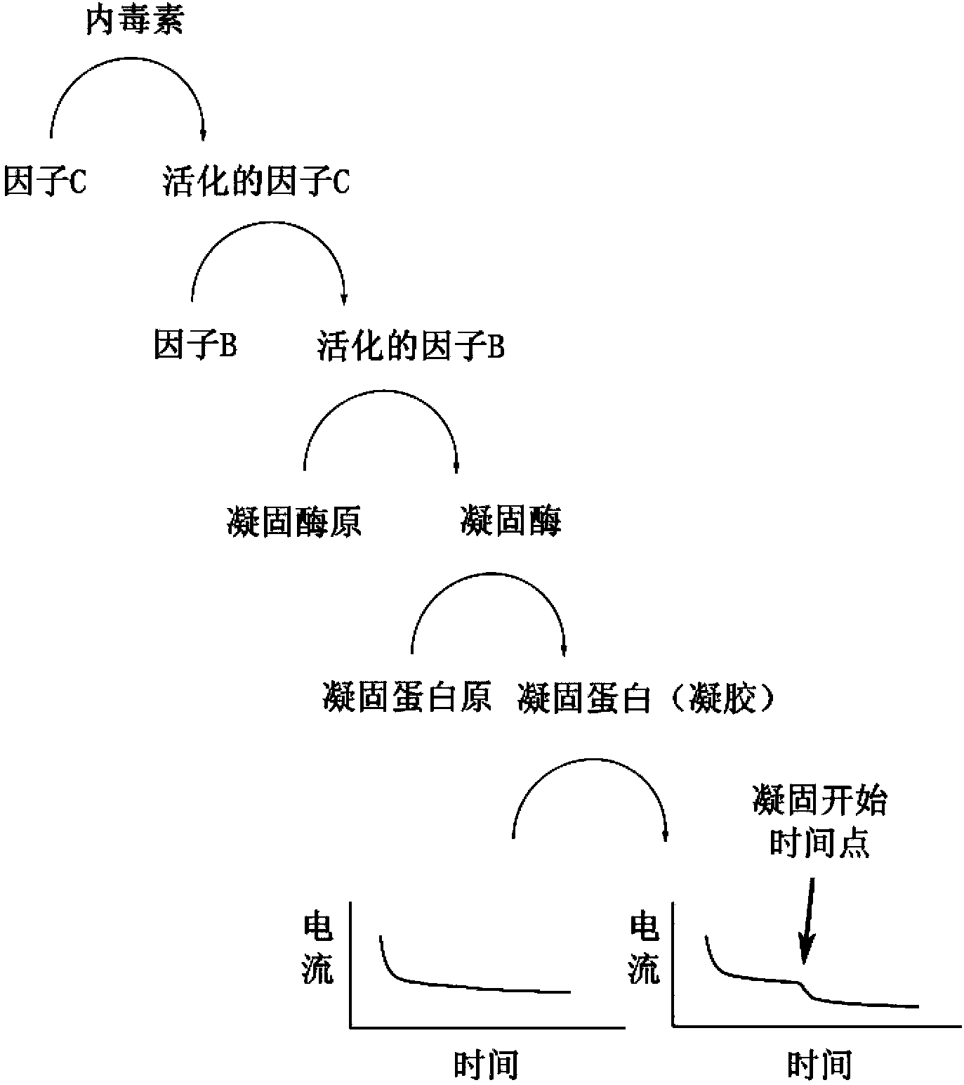 Method for detecting endotoxin