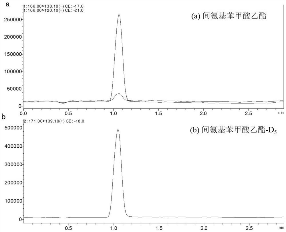 Stable isotope labeled ethyl 3-aminobenzoate-d  <sub>5</sub> and its preparation method