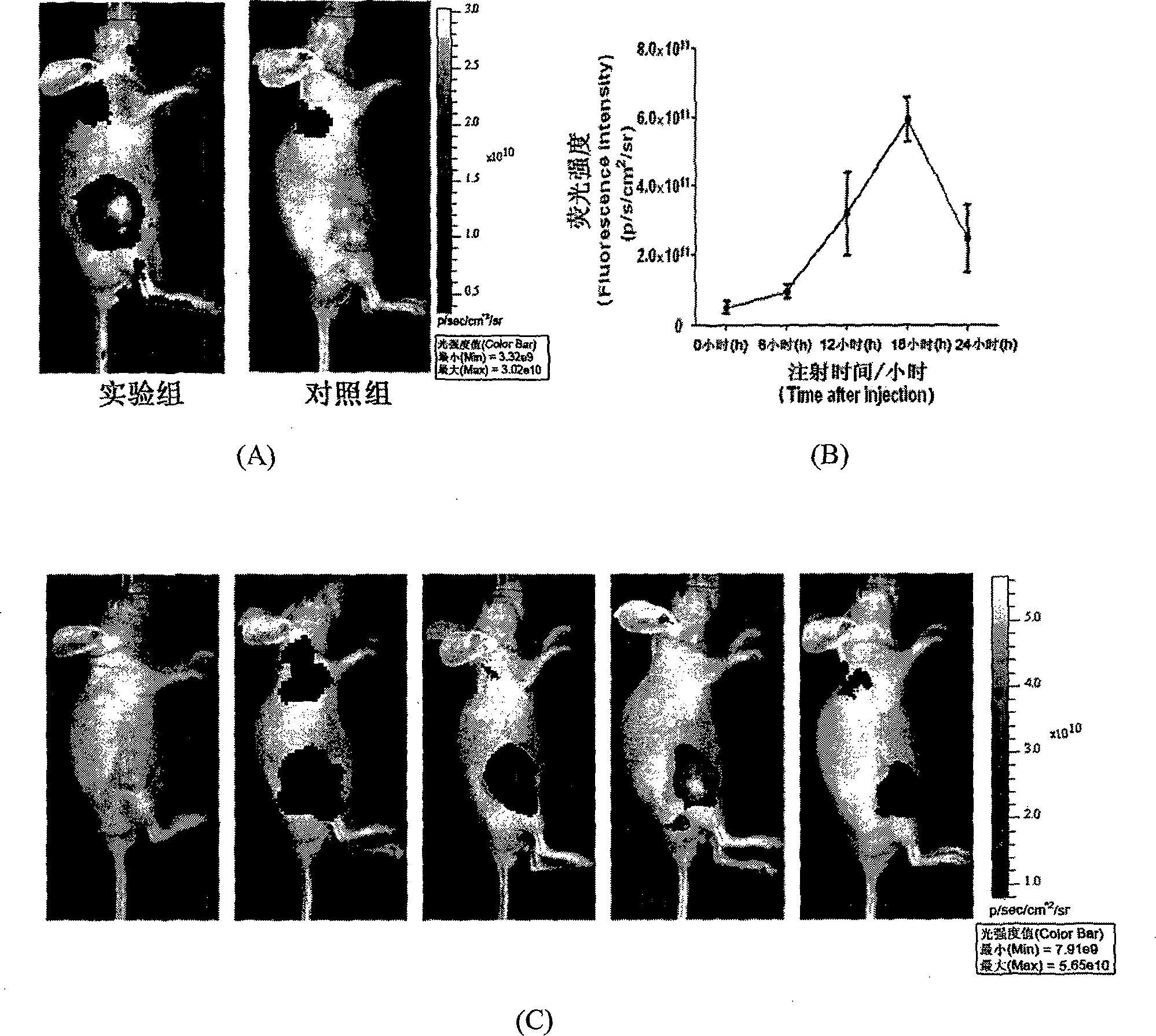 Symmetric pentamethyl cyanine dye and application thereof to molecular imaging