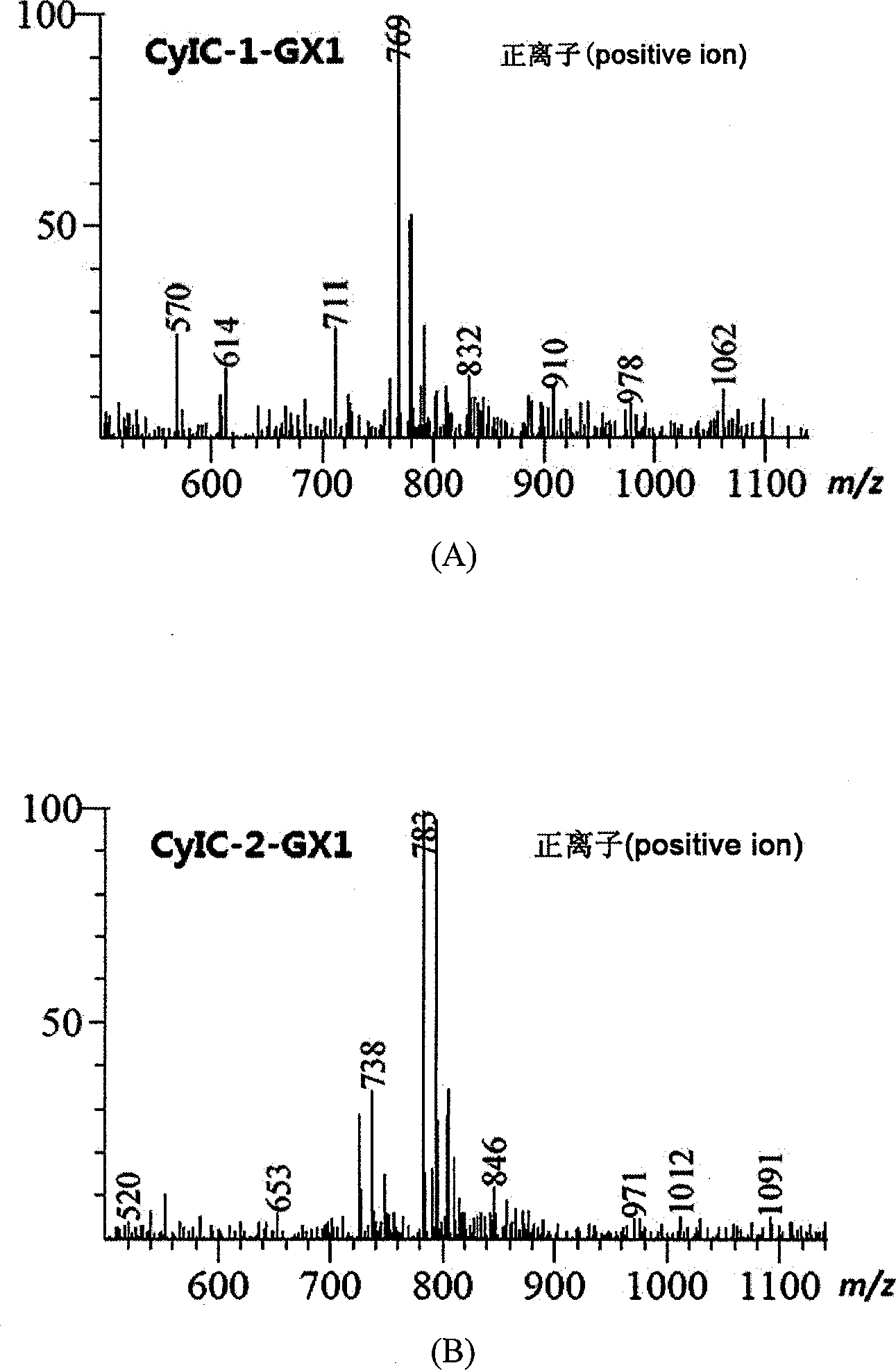 Symmetric pentamethyl cyanine dye and application thereof to molecular imaging