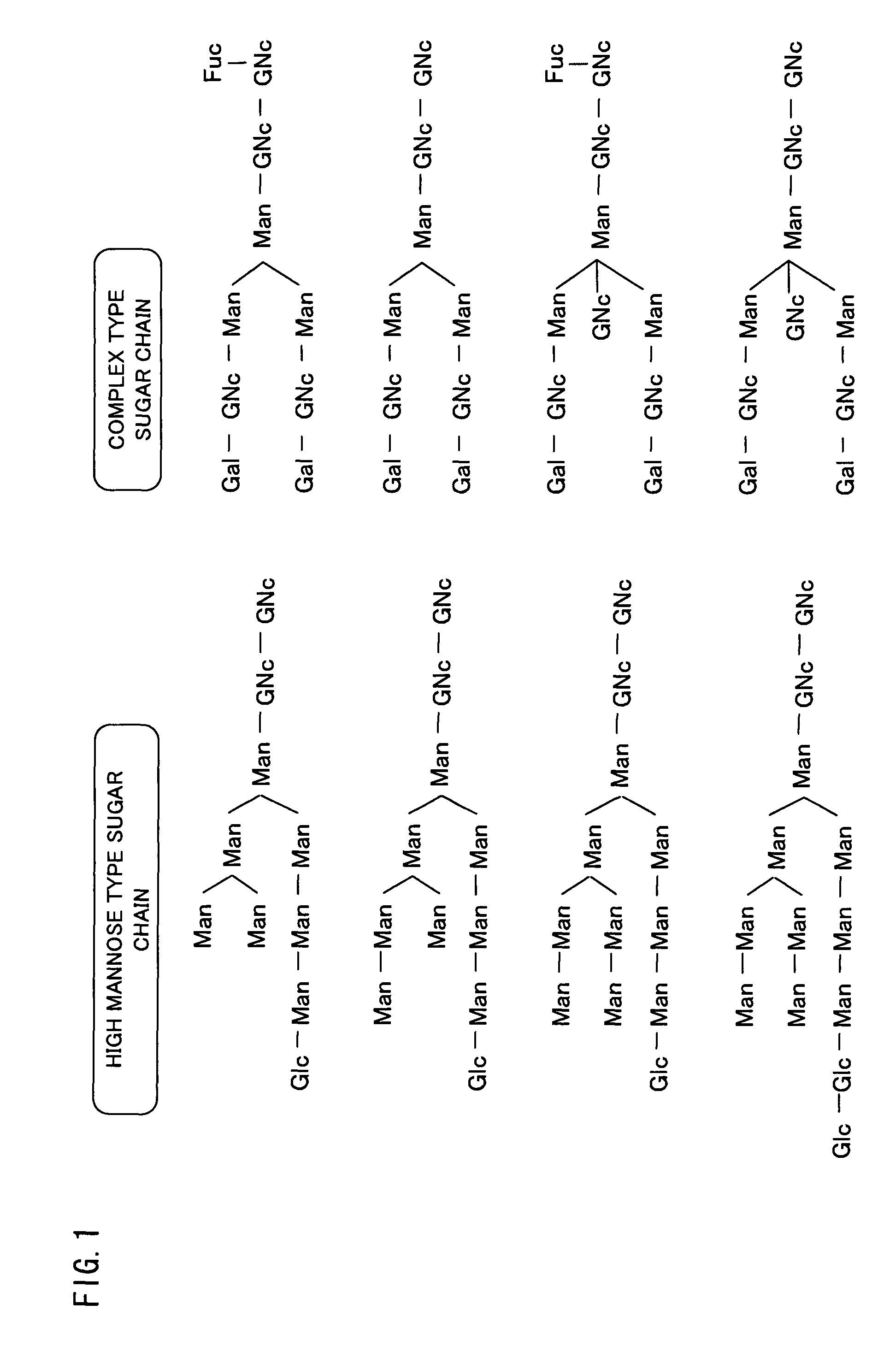 Isolated polypeptide binding to a sugar chain, polynucleotide encoding the polypeptide and use of the polypeptide and polynucleotide