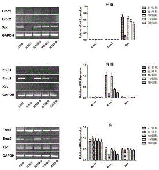 Nutrient composition and application thereof in preparation of medicines for treating aplastic anemia