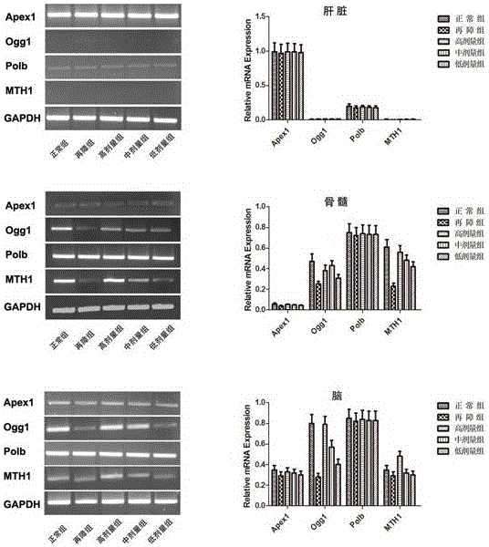 Nutrient composition and application thereof in preparation of medicines for treating aplastic anemia